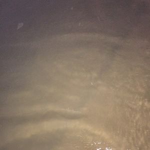 Meet your Posher, Brooklyn